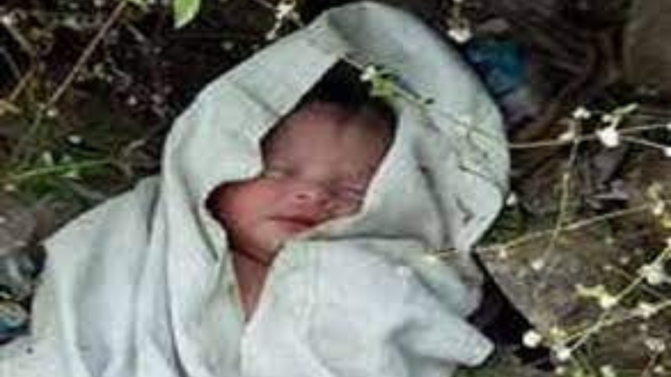 Mamta was embarrassed again, newborn baby found in the bushes, four friends saved her life
