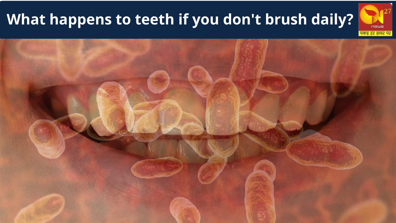What happens if you don't brush for a month? This can be the condition of your teeth, which you cannot even imagine