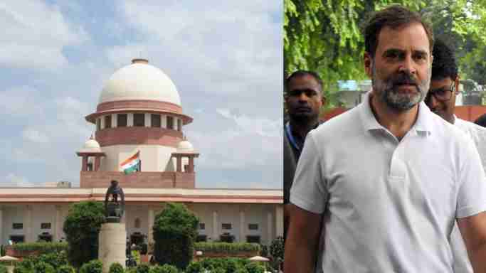 Will Rahul's MP be reinstated or will we have to wait for the Supreme Court's decision, what does the rule say?