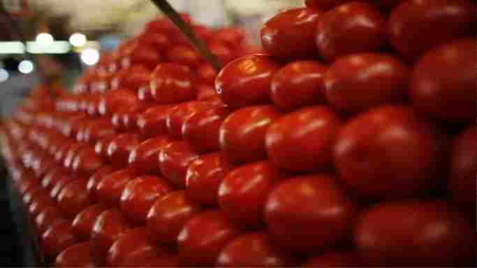 When tomato was found, the face of the customers blossomed, in many districts of the state it was sold at Rs 70 per kg